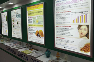 IFIA Japan 2015