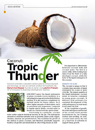 Cococin-Tropic_Thunder